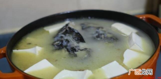 鱼头和豆腐的食用_健康频道 鱼头豆腐汤的做法