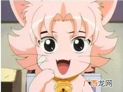 网球王子里的那只猫是什么品种的,卡通猫有哪些？