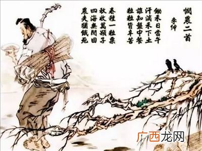 悯农的作者是谁那个朝代的,李白的悯农是什么样的？