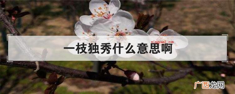 一枝独秀这一成语到底指的是花或是描述别人很出色? 一枝独秀什么意思啊