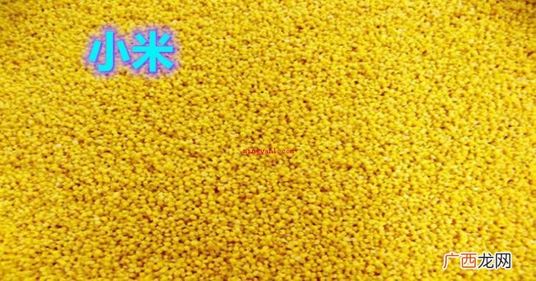 简略回应八宝粥常见的八样配料 八宝粥的配料是哪八样