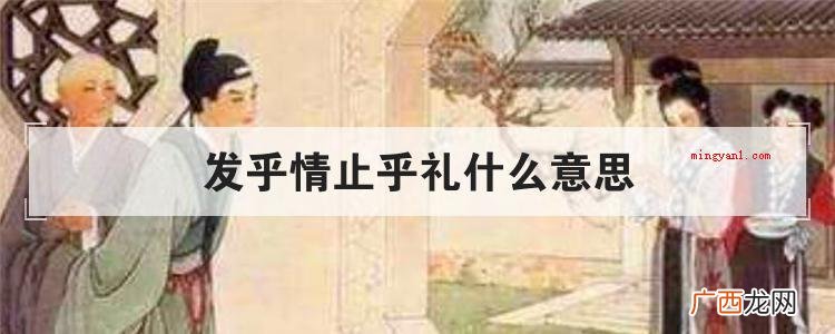 发乎情止乎礼指的是哪层面的内容? 发乎情止乎礼什么意思