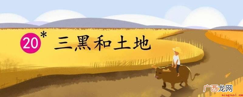 三黑和土地三黑把土地当作一张床,一张特别适合农作物成长的苗床 三黑和土地三黑是怎样看待土地的