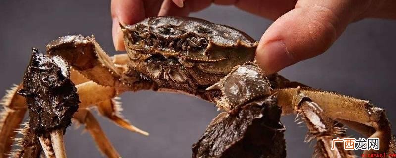 电冰箱保存螃蟹的注意事项 如何保存螃蟹