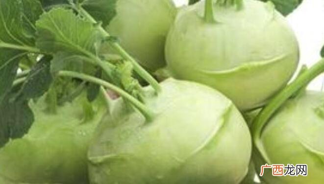 大头菜和苤蓝的营养价值区别 大头菜和苤蓝的区别