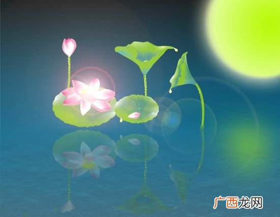 什么是禅宗一花五叶,佛教里的一叶开五花是什么？