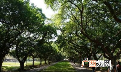 目力所及及的意思,目力所及和由表及里的意思一样吗？