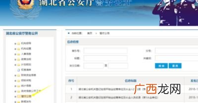 网上追逃人员怎么查询,网上通缉怎么查询？