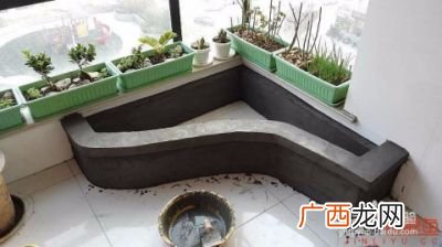 怎么养鱼鱼池,新建的鱼池要怎样处理？