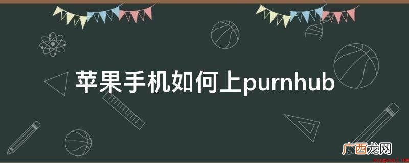 iPhone11使用技巧 苹果手机如何上purnhub
