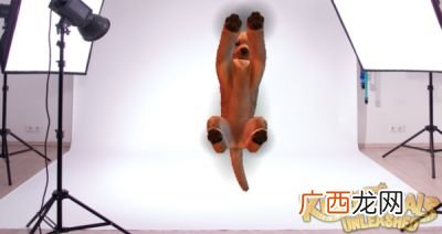 跃的成语有哪些,俗和跃字成语？