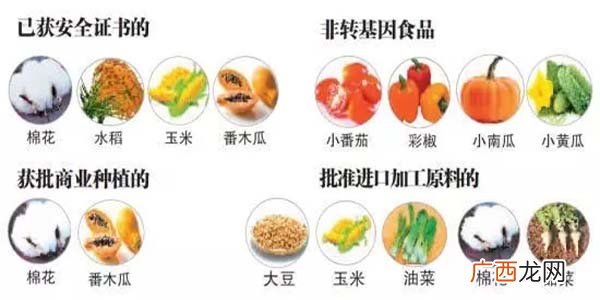 转基因食品是什么,那四大转基因食品是什么？