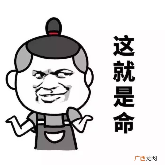 日常说捅马蜂窝是啥意思,马蜂窝以什么出名？