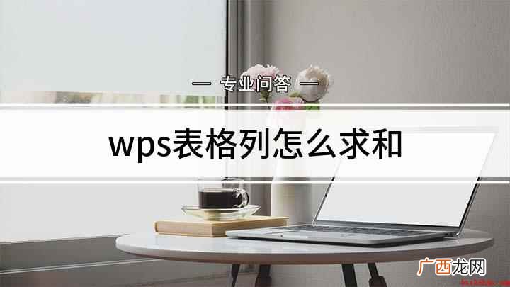 windows7视频教程 wps表格列怎么求和