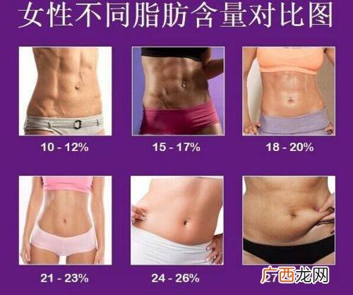 体脂率要怎么计算,体脂率基数怎么算？