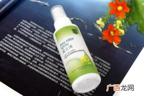 蚤立清喷剂安全吗,双甲脒喷在家里可以杀死跳蚤吗？