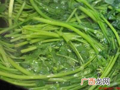 红花草怎么做好吃共有5步 红花草怎么做好吃