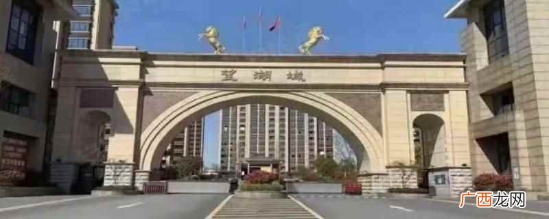 望湖城东苑、南苑、西苑、北苑都是多层回迁房 望湖城哪些是回迁房