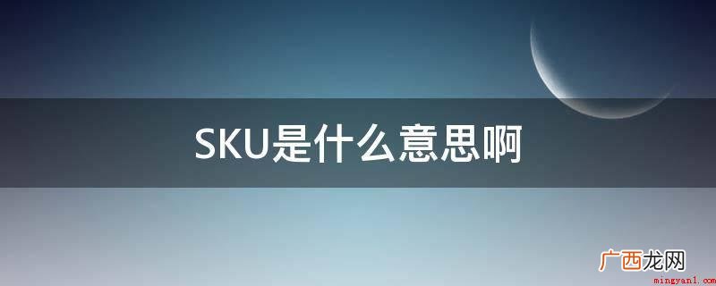 SKU即库存量出入计量检定的企业 SKU是什么意思啊