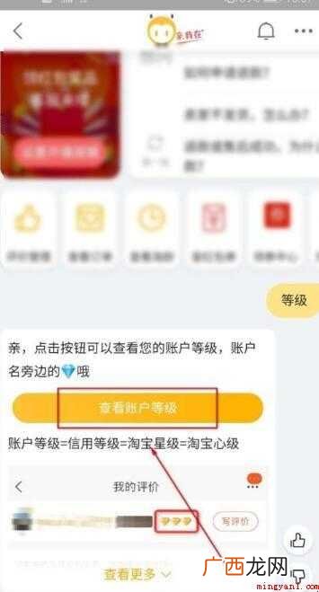 怎么看淘宝等级