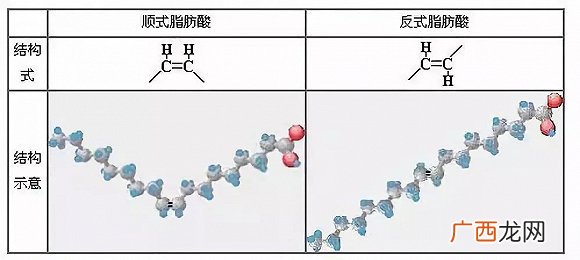反脂肪酸是什么,什么是反式脂肪酸。多少才算正常？