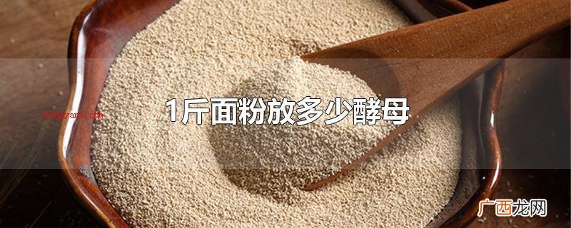 1斤小麦面粉放5 1斤面粉放多少酵母
