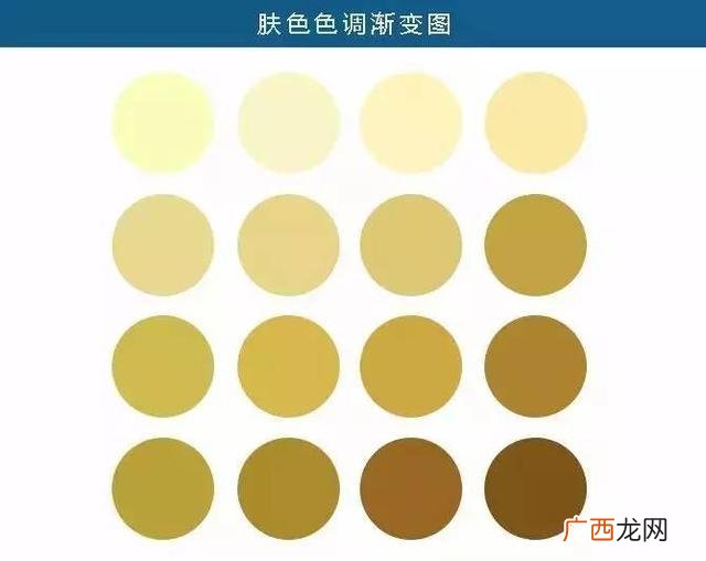 黄色有几种,黄色的豆子有几种？
