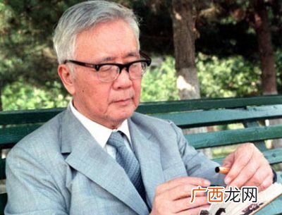 华罗庚数学故事,华罗庚数学冠军？