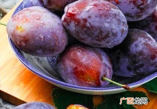 西梅和青梅有什么不同 西梅和青梅的区别