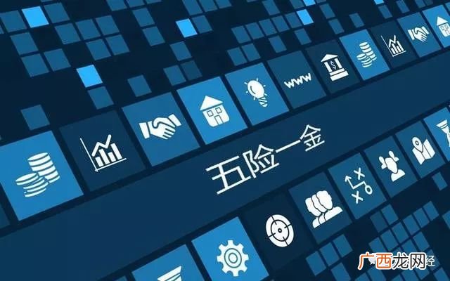 财务两金指的是什么,两金指标是指哪些？