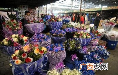 成都花卉批发市场在哪里,成都最大的鲜切花批发市场在哪里？