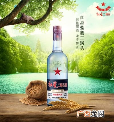 蓝瓶红星二锅头是粮食酒吗,红星二锅头53蓝瓶评价？