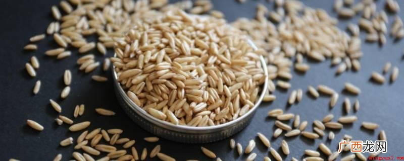 燕麦米煮20 燕麦米煮多久才熟
