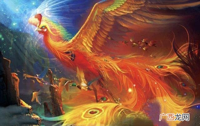 世界上有没有凤凰存在,凤凰的前身是什么？