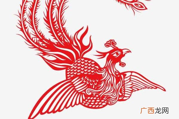 世界上有没有凤凰存在,凤凰的前身是什么？