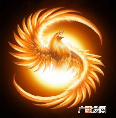 世界上有没有凤凰存在,凤凰的前身是什么？