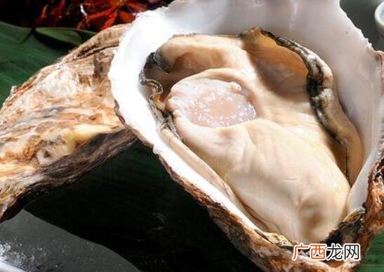 牡蛎和河蚌营养价值区别 牡蛎和河蚌的区别