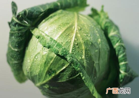 包菜和白菜营养价值区别 包菜和白菜的区别