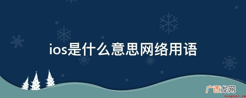 IOS客户便是ios系统的应用者的意思 ios是什么意思网络用语