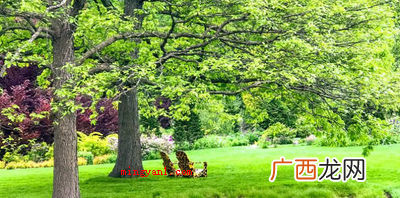简略回应驾轻就熟,源于唐孙思邈《四言诗》,用于形容功夫做到了 炉火纯青是什么意思