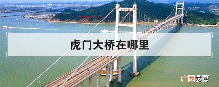 简略回应虎门大桥所在位置处 虎门大桥在哪里