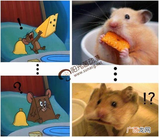 有什么赞美老鼠的话,描写猫头鹰的句子？
