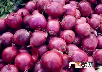 紫色洋葱和白洋葱有什么区别呢,紫葱和黄葱的区别？