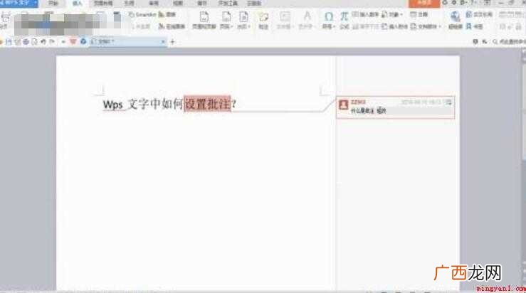 wps批注怎么设置内容 wps批注怎么设置