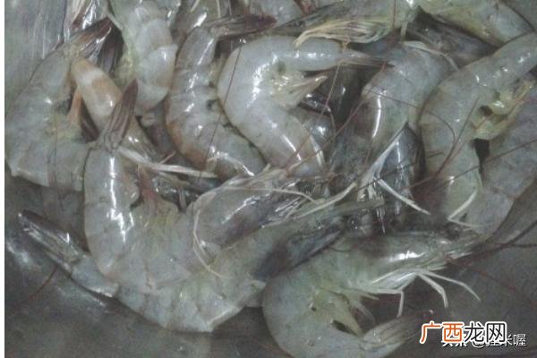 如何处理基围虾,超简单处理基围虾的方法？