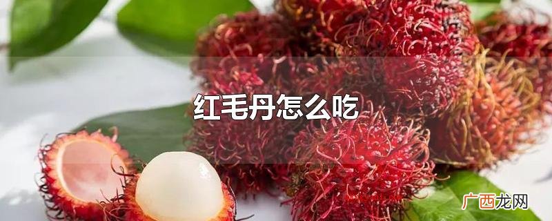 红毛丹食用方法立即服用 红毛丹怎么吃