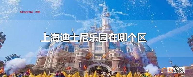 上海迪士尼乐园在哪个区