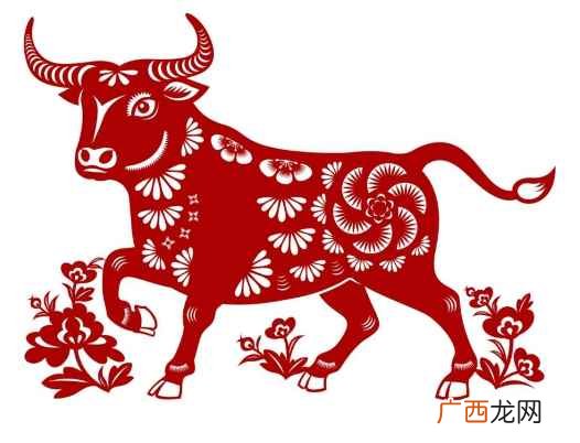 单凭感情很少能改变属牛人的想法 十二生肖里谁是银花