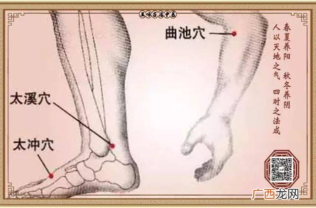 筋皮子是什么部位,烧烤店的板筋,肉筋,生筋,筋皮子,分别是什么部位的?