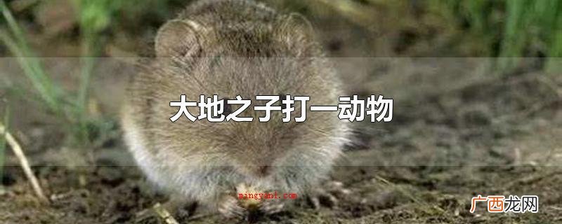 大地之子打一动物的谜面 大地之子打一动物